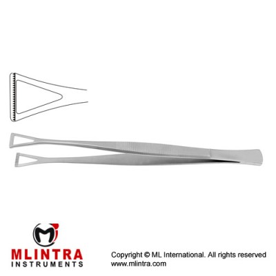 Collin-Duval Intestinal Forceps Stainless Steel, 20 cm - 8" Width 18.0 mm